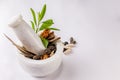 Natural medicine concept. Cinnamon, dry ginger, black cardamom, macejavitri, long pepper and green leaves in white mortar and