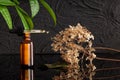 Natural medicine, essential oil and dropper. Composition, natural remedies Royalty Free Stock Photo