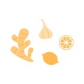 Natural medicine food icons ginger garlic lemon.