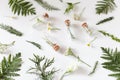 Natural medicine, healing herbs and flowers, glass bottles with herbs on a light table, place for text Royalty Free Stock Photo