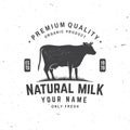 Natural milk badge, logo. Vector. Typography design with cow silhouette. Template for dairy and milk farm business -