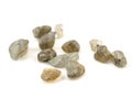 Natural mineral labradore gemstone beads isolated on white background Royalty Free Stock Photo