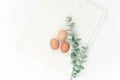 Natural minimal Easter composition Royalty Free Stock Photo