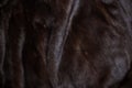 Natural mink fur brown. Texture, background. Natural brown mink coat close up, short nap Royalty Free Stock Photo