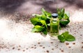 Natural Mint Essential Oil. Bottle of mint oil and fresh mint on a old metal background. Copy space Royalty Free Stock Photo