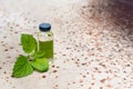 Natural Mint Essential Oil. Bottle of mint oil and fresh mint on a old metal background. Copy space Royalty Free Stock Photo