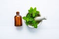 Natural Mint Essential Oil in a Glass Bottle Royalty Free Stock Photo