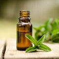 Natural Mint Essential Oil in a Glass Bottle with Fresh Mint Leaves Royalty Free Stock Photo