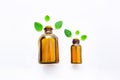 Natural Mint Essential Oil in a Glass Bottle Royalty Free Stock Photo