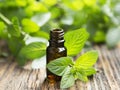 Natural Mint Essential Oil in a Little Glass Bottle Royalty Free Stock Photo