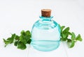Natural mint essential oil Royalty Free Stock Photo