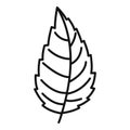 Natural mint leaf icon, outline style