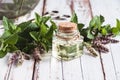 Natural mint oil in bottle, fresh mentha plants on old wooden table, essential mint oil, herbal medicine