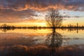 Natural mirror effect in the water of a flooded river at sunrise