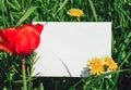 Natural mock up with blank paper postcard