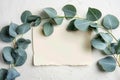 Natural mockup Eucalyptus leaves paired with blank paper sheet