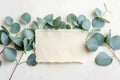 Natural mockup Eucalyptus leaves paired with blank paper sheet