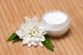 Natural moisturizing face cream Royalty Free Stock Photo