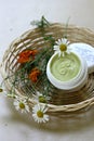 Natural moisturizing face cream Royalty Free Stock Photo