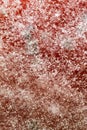 Natural mold on red Royalty Free Stock Photo