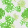 Natural Monstera Illustration. Green Seamless Set. Pattern Painting. Watercolor Leaves. Tropical Design. Floral Print. Summer Desi
