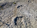 Natural monument of fossil dinosaur footprints in Serra D `Aire in Pedreira do Galinha, in Portugal. A pedagogical circuit was cre