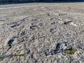 Natural monument of fossil dinosaur footprints in Serra D `Aire in Pedreira do Galinha, in Portugal. A pedagogical circuit was cre