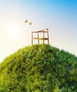 Natural morning green field of fresh grass environment, little hill meadow with butterflies flying around wooden chair. Hoping