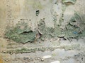 Wall Paint Damage with Green Algae Royalty Free Stock Photo