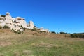 View of the Stone Sphinxes.