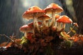 Natural Mushroom rain log. Generate Ai Royalty Free Stock Photo