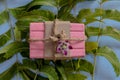 Natural neem handmade soap bars with flowers,spa organic soap,eco-friendly products Royalty Free Stock Photo