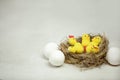 A natural nest with eggs and decorative chickens inside on a white background Royalty Free Stock Photo