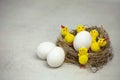 A natural nest with eggs and decorative chickens inside on a white background Royalty Free Stock Photo