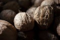 Natural nut. Dark background texture pattern. Abstract walnuts pattern background. Walnuts pattern background. Inshell walnuts.
