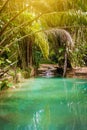 Natural oasis pool creek in tropical bamboo jungle in North Trinidad and Tobago