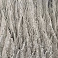 Natural old brown crust wood texture pattern or bark wood background for interior or exterior design with copy space for text or i Royalty Free Stock Photo