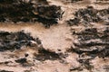 Natural old stone background - Mars surface