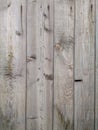 Natural old vertical wood texture background. Selective focus Royalty Free Stock Photo