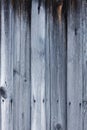 Natural old wood texture of worn vertical wooden boards with scratches Royalty Free Stock Photo