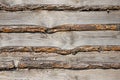 A natural old wooden shield with lagging pieces of bark in bright sunlight.