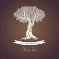 Natural olive oil tree logo for olive grove.