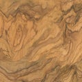 Natural olive rustic wood texture.
