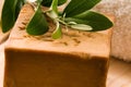 Natural Olive Soap With Fresh Branch Royalty Free Stock Photo