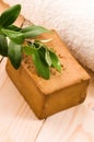 Natural Olive Soap With Fresh Branch Royalty Free Stock Photo