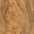 Natural olive rustic wood texture.