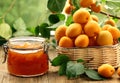natural organic apricot jam