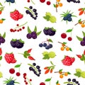 Natural organic berries seamless pattern with currant, cherry, raspberries, rowan, gooseberry, dogrose, blackberry, goji Royalty Free Stock Photo
