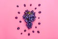 Natural organic black juicy grapes on a trend pink background Top View Flat Lay. Rustic Style. Country Village Royalty Free Stock Photo