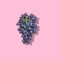 Natural organic black juicy grapes on trend pink background Top View Flat Lay. Rustic Style. Country Village Agriculture concepts